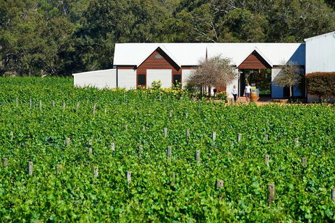 Upper Reach Spa Cottage - Kempsey Accommodation 0