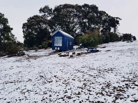 Walden Tiny House - Kempsey Accommodation 2