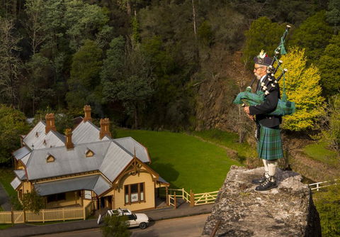 Walhalla Wild Cherry - Kempsey Accommodation 2