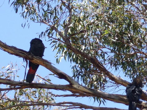 Wanderers Rest Of Kangaroo Island - Kempsey Accommodation 2
