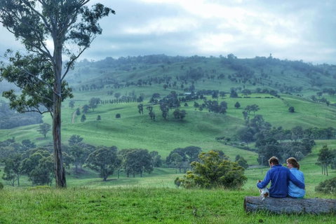 Waterfall Way Farmstay - Kempsey Accommodation 2
