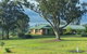 Waterfall Way Farmstay - thumb 0