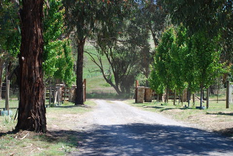Bluegum Ridge Cottages - Kempsey Accommodation 3