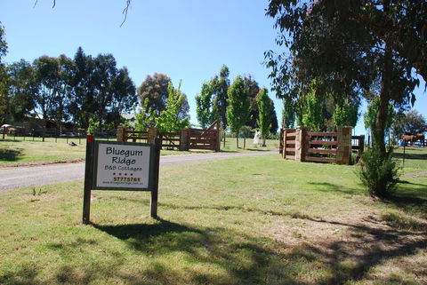 Bluegum Ridge Cottages - Kempsey Accommodation 1