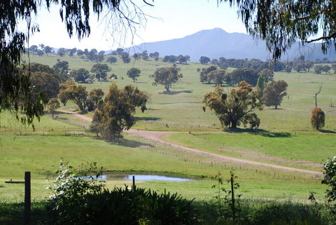 Bluegum Ridge Cottages - Kempsey Accommodation 31