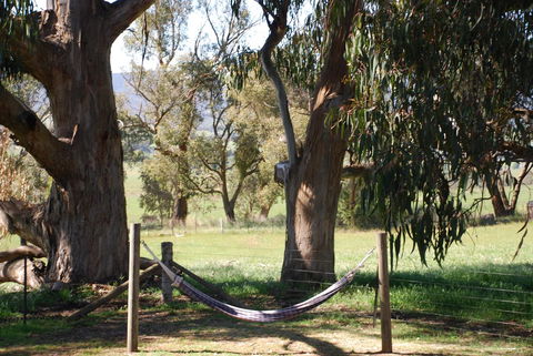 Bluegum Ridge Cottages - Kempsey Accommodation 28
