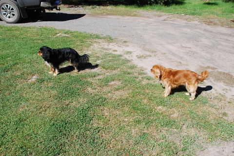 Bluegum Ridge Cottages - Kempsey Accommodation 6