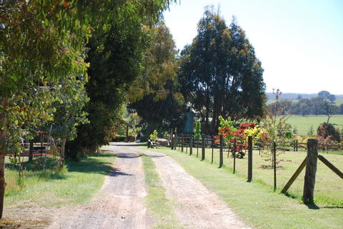 Bluegum Ridge Cottages - Kempsey Accommodation 4