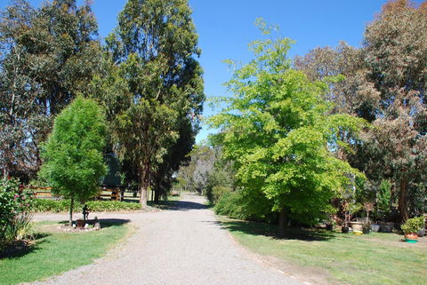 Bluegum Ridge Cottages - Kempsey Accommodation 5