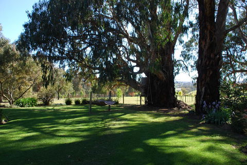 Bluegum Ridge Cottages - Kempsey Accommodation 29