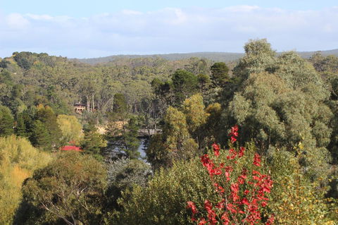 The Orchard - Kempsey Accommodation 28