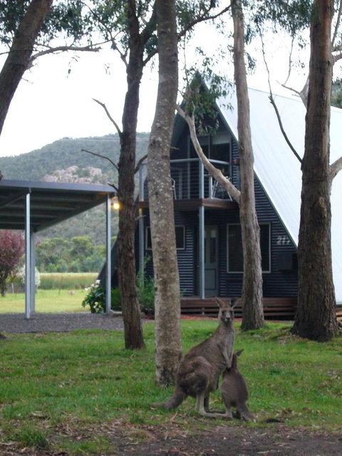 The A-Frame - Kempsey Accommodation 1