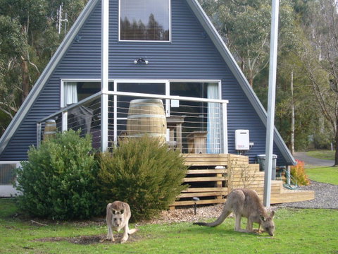 The A-Frame - Kempsey Accommodation 10