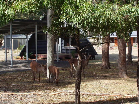 The A-Frame - Kempsey Accommodation 13