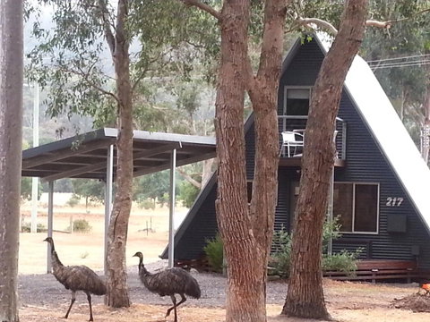 The A-Frame - Kempsey Accommodation 9