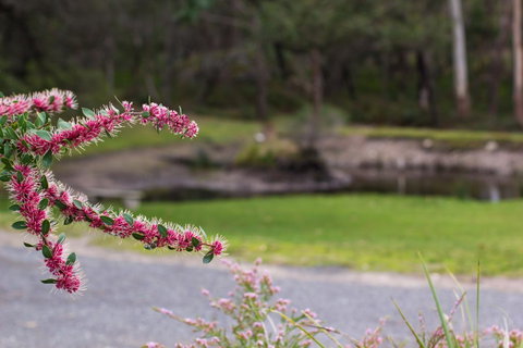 Marwood Villas - Kempsey Accommodation 35