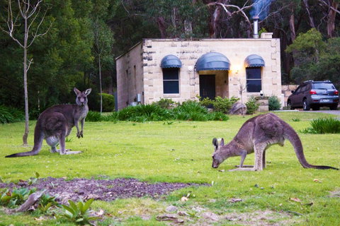Marwood Villas - Kempsey Accommodation 31