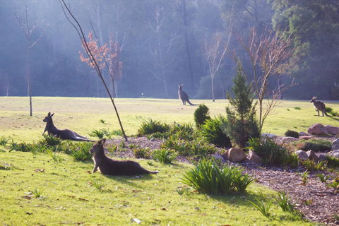 Marwood Villas - Kempsey Accommodation 30