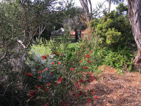 Andrew's On Topaz - Kempsey Accommodation 1