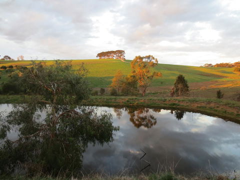Walnut Cottage Via Leongatha - Kempsey Accommodation 10