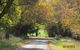 Walnut Cottage Via Leongatha - thumb 11