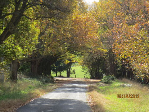 Walnut Cottage Via Leongatha - Kempsey Accommodation 11
