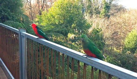 Beautiful View House - Kempsey Accommodation 11