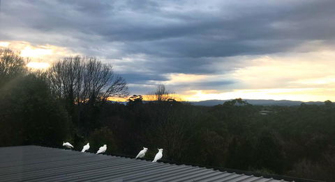Beautiful View House - Kempsey Accommodation 21