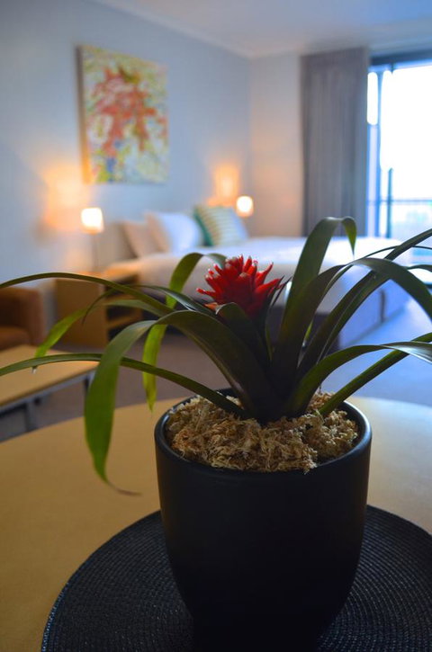 Mansfield Apartments - Kempsey Accommodation 21