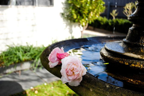 Bed Of Roses - Kempsey Accommodation 35