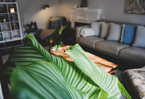 Bed Of Roses - Kempsey Accommodation 29