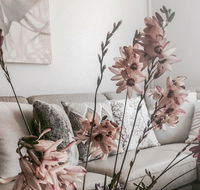 Bed of Roses - Kempsey Accommodation
