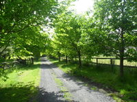 Book Wonga Park Accommodation Vacations Kempsey Accommodation Kempsey Accommodation