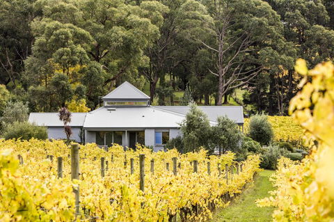 Polperro Villas - Kempsey Accommodation 22