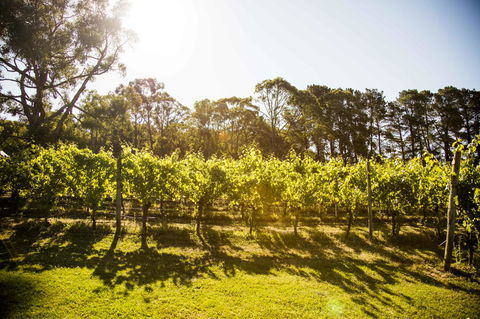 Polperro Villas - Kempsey Accommodation 18