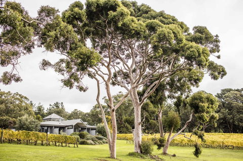 Polperro Villas - Kempsey Accommodation 20