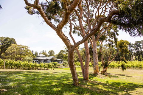 Polperro Villas - Kempsey Accommodation 17
