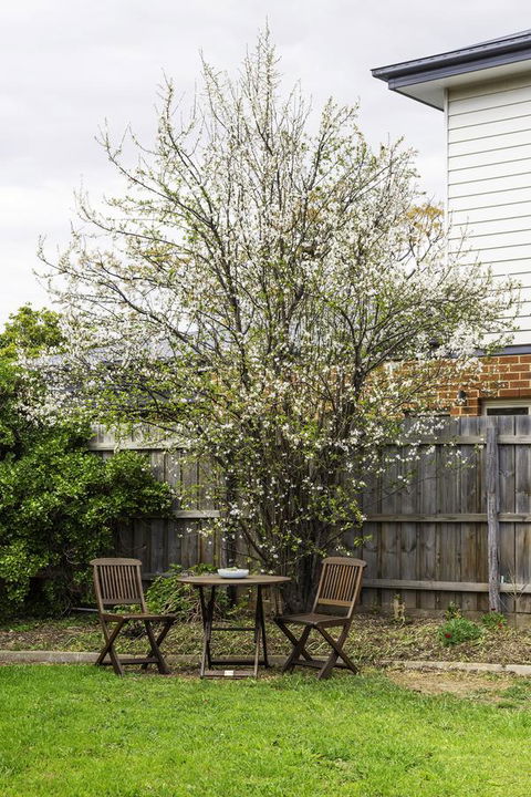Bacchus Centro - Kempsey Accommodation 9
