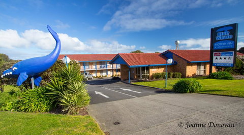 Blue Whale Motor Inn & Apartments - Kempsey Accommodation 0