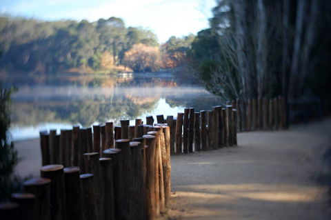 Minni Gums - Kempsey Accommodation 4