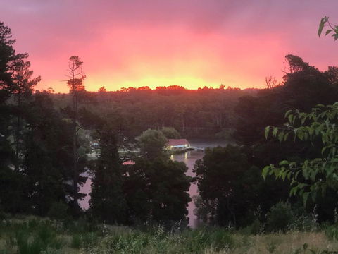Minni Gums - Kempsey Accommodation 2