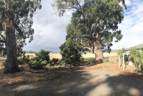 Minni Gums - Kempsey Accommodation 18