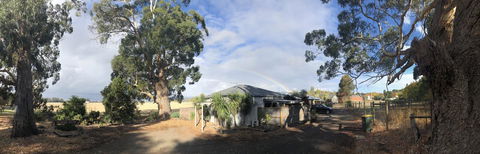 Minni Gums - Kempsey Accommodation 11