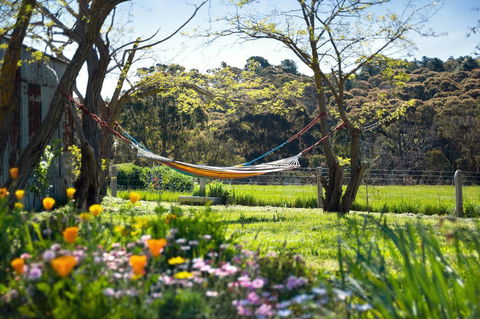 Cabrito - Kempsey Accommodation 3