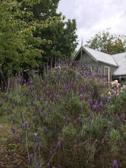 Oak Tree Lodge - Kempsey Accommodation 25