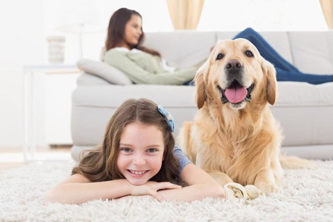 Boutique Stays - Maple On Kent - Kempsey Accommodation 28