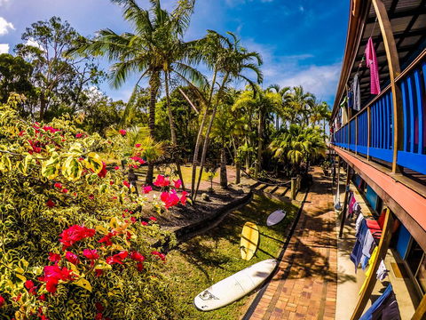 Cool Bananas Backpackers - Kempsey Accommodation 17