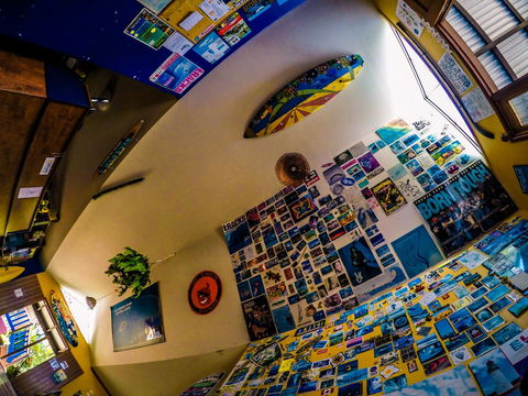 Cool Bananas Backpackers - Kempsey Accommodation 29
