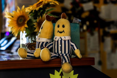Cool Bananas Backpackers - Kempsey Accommodation 30