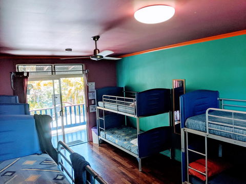 Cool Bananas Backpackers - Kempsey Accommodation 5